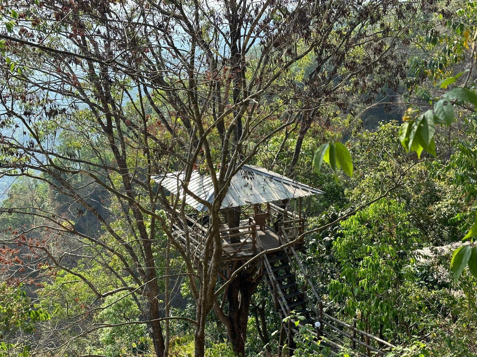 Sunset Valley Kerala Pool Resort - Monsoon Forest Cottage Stay In Idukki With Private Waterfalls, Natural Streams & Breathtaking Views *