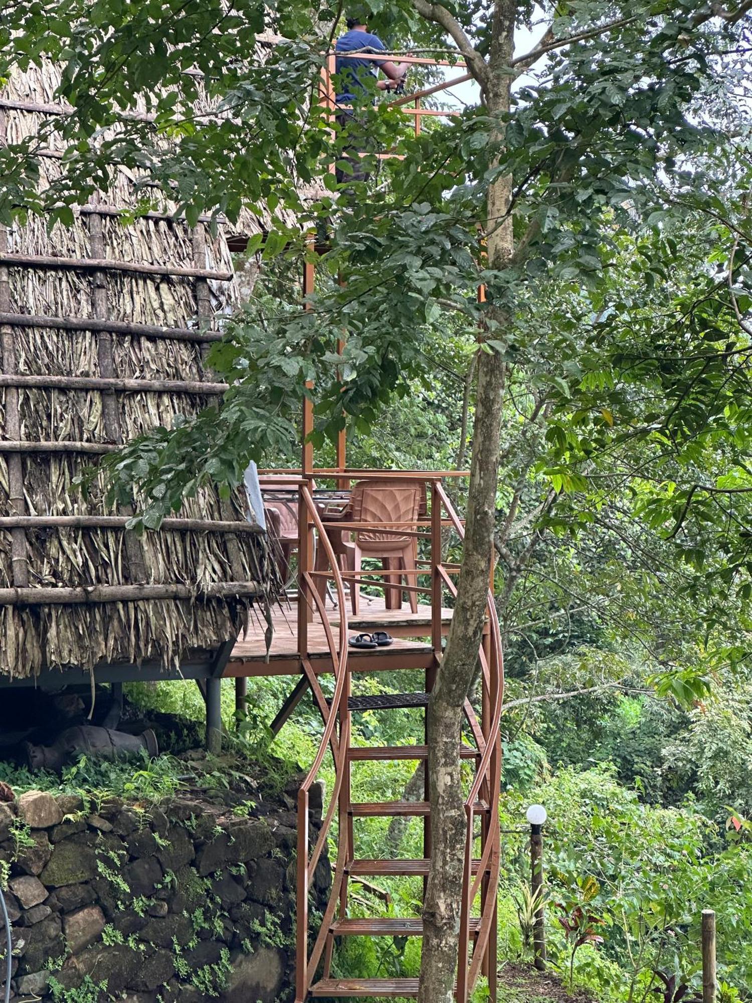 Sunset Valley Kerala Pool Resort - Monsoon Forest Cottage Stay In Idukki With Private Waterfalls, Natural Streams & Breathtaking Views *