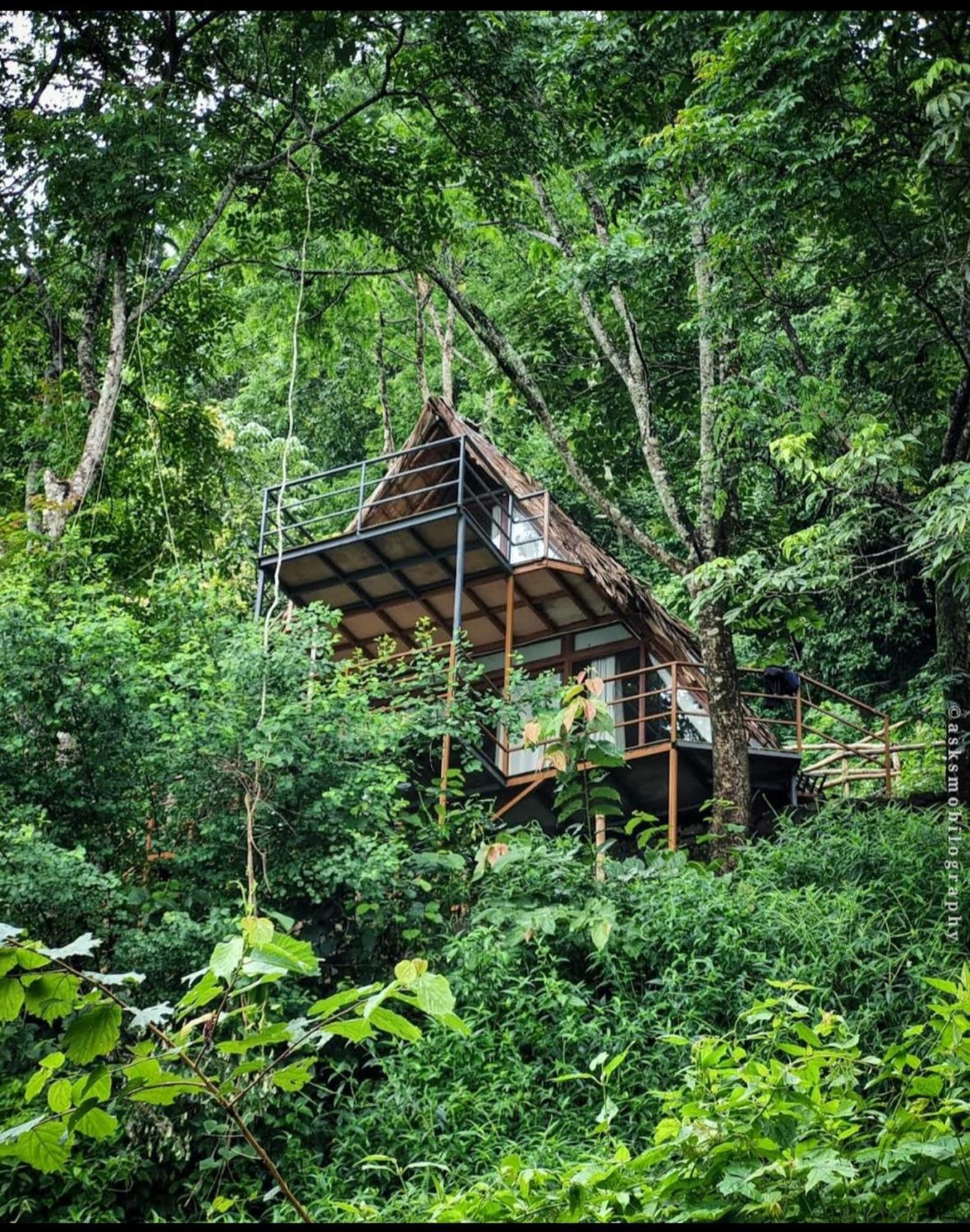 Lodge Sunset Valley Kerala Pool Resort - Monsoon Forest Cottage Stay In Idukki With Private Waterfalls, Natural Streams & Breathtaking Views Pirmed